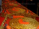 thrissur-pooram-2010 (46)